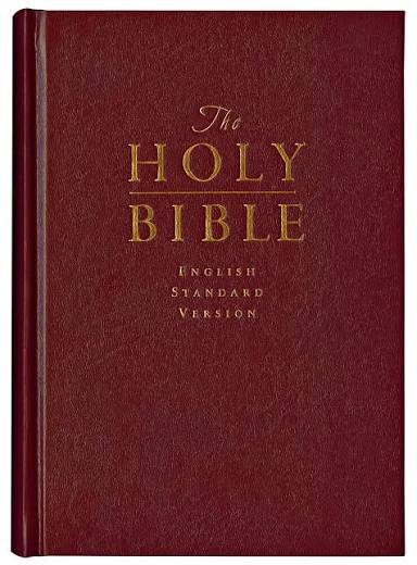 (Copy) Digital bible